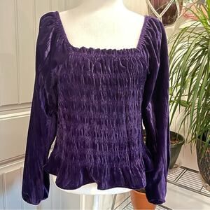 Elegant Purple Velvet Women's Top